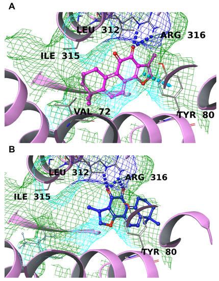 In Silico, In Vitro, and In Vivo Analysis of Tanshinone IIA and ...