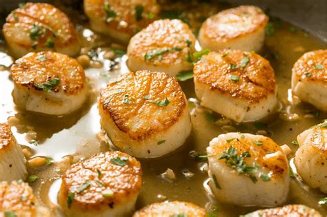 Can You Freeze Scallops? The Ultimate Guide - The Kitchen Journal