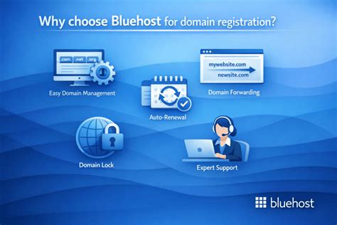 What Happens When a Domain Name Expires?