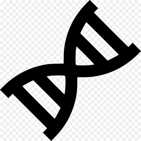 DNA Vector 的图像结果