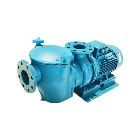 EMAUX意万仕商用铸铁泵泳池水泵大型供水设备SE系列商业泵
