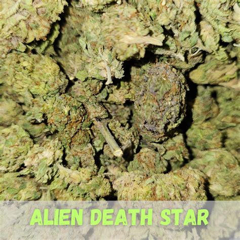 Image result for Alien Death Star