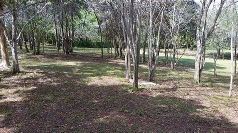 RANCHO ECOLOGICO EL CAMPECHE (Yaguate) - Campground Reviews & Photos ...