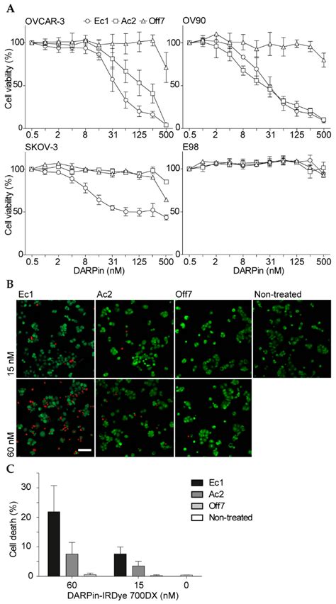 EpCAM-Binding DARPins for Targeted Photodynamic Therapy of Ovarian Cancer