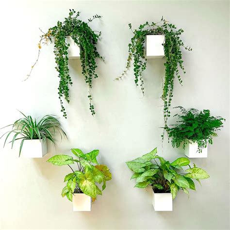 Lavish Craft Wall Planter 6-Pack 4 Inch Square Metal Wall Planters for ...