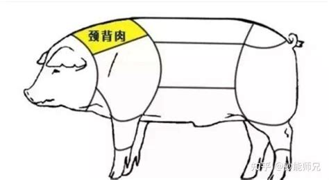 【小海家庭厨房】家庭美食-泰式烤猪颈肉 - 知乎