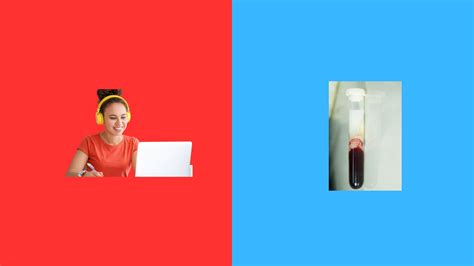 8 Affordable Online Phlebotomy Classes