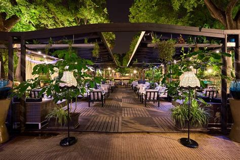 Nice refreshments in lovely surrounds - Reviews, Photos - Premier ...