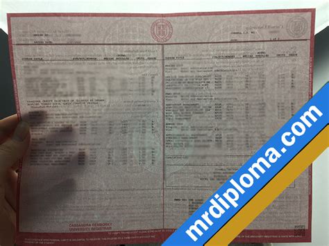 Image result for Cornell Transcript