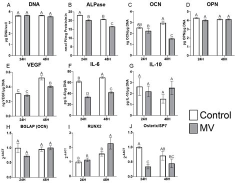Osteoblast-Derived Matrix Vesicles Exhibit Exosomal Traits and a Unique ...