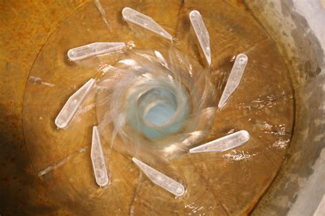 Image result for Vortex Drop Flow