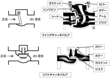 Image result for BioNetwork Microscope Worksheet