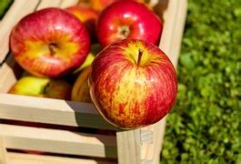 Image result for Boolean Data Type Range in MATLAB