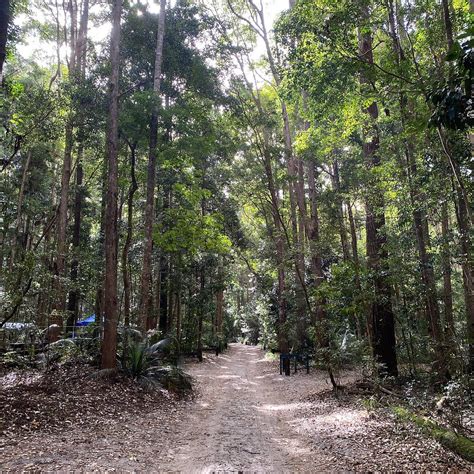 CAMPGROUND CENTRAL STATION (K'gari (Fraser Island)) - Campground ...