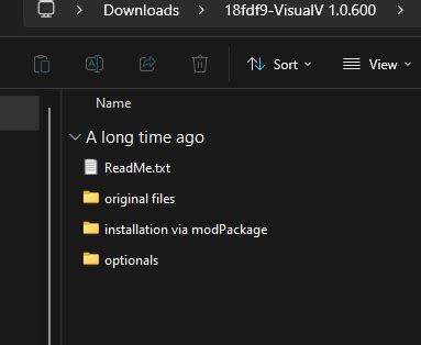 Image result for How to Install VisualIV