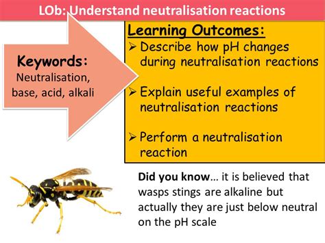 Image result for Neutralisation Demonstration