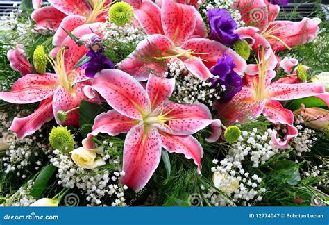 Lily Flowers Bouquet Royalty Free Stock Photography - Image: 12774047
