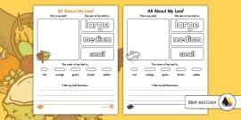 All About My Eyes Science Activity (teacher made) - Twinkl