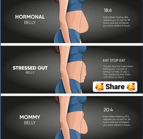 5 types 0f belly fat – Artofit