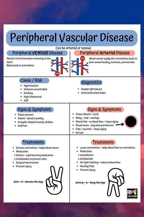 Peripheral Vascular Disease Nurse Teaching Registered Nursing Bridging