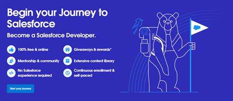 Image result for Salesforce Developer Track