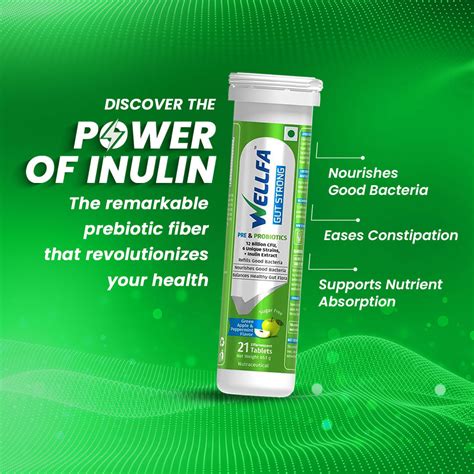 Shop Wellfa's Daily Nutrition Supplement with Enzymes & Probiotics