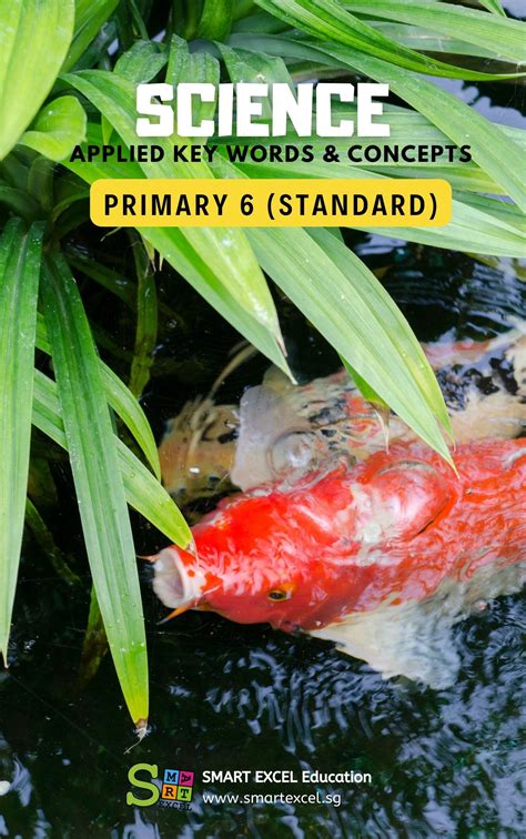 Classification Science P6 的图像结果