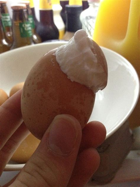 Exploding Hard Boiled Egg 的图像结果