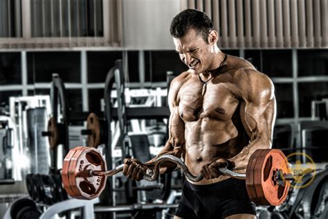 Bodybuilding Workouts 的图像结果