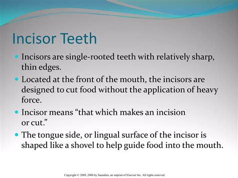 Shovel Shaped Incisors
