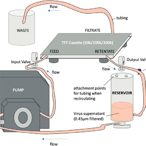 Image result for TFF Process