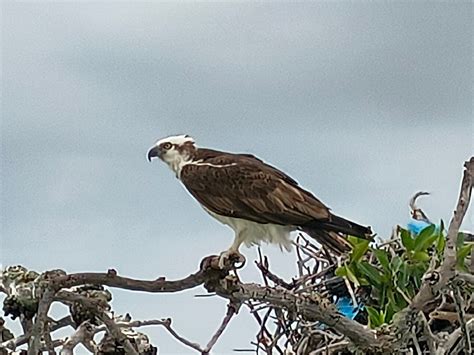 DIAMANTE MAYA TOURS (2026) All You Need to Know BEFORE You Go (with ...