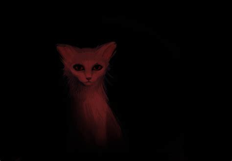 Image result for Rust Red Cat