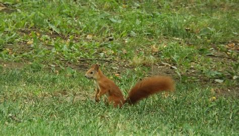 DENDRARIU PARK (2026) All You Need to Know BEFORE You Go (with Photos ...