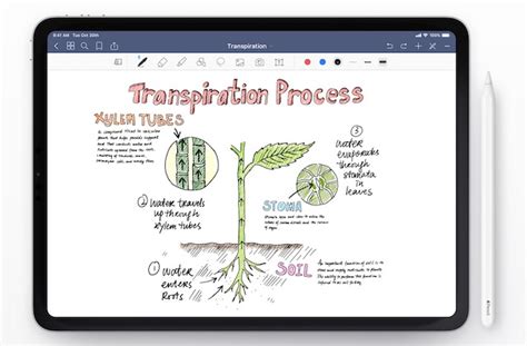 Image result for Good OneNote