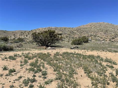 Juniper Flats Southern Access, California - GPS Trail Map, Conditions & Difficulty | onX Offroad