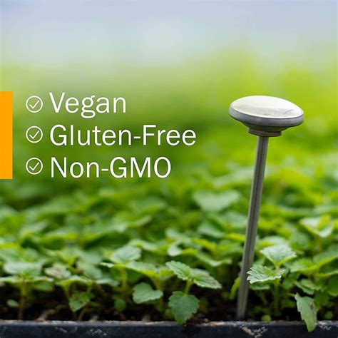 Buy Herb Pharm Asian (Panax) Ginseng Liquid Glycerite for Energy and ...