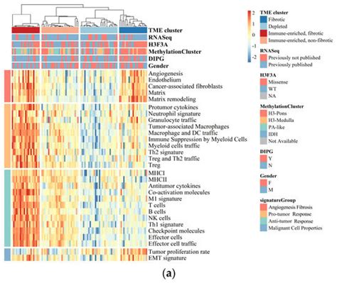 Classification of Brainstem Gliomas Based on Tumor Microenvironment Status