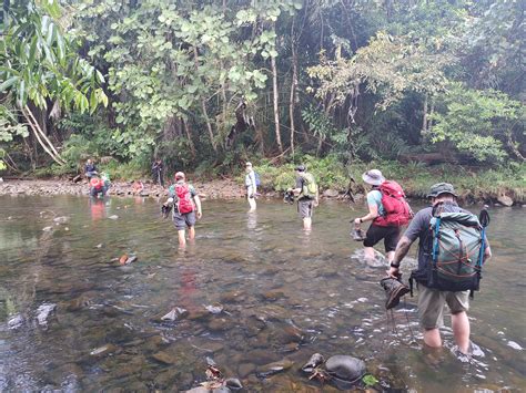 Walking the Sandakan Death March Trail and Gunung Trusmadi - Come Walk ...
