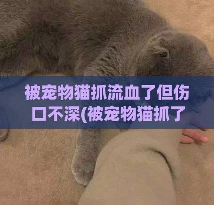 被猫抓了一下轻微破皮要打针吗，大多数情况不用(3种情况要打针) — 久久经验网