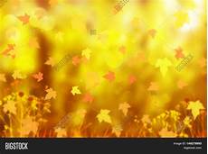 Fall Backgrounds Gold by Autumn Background Nature Bokeh Background Golden Autumn Fall Backgrounds Gold