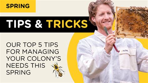 Image result for Spring Beekeeping