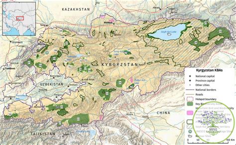 Mountains of Central Asia Ecosystem Profile Visual Summary » Map.kg