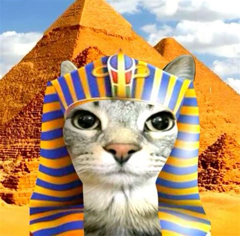 Egyptian Memes