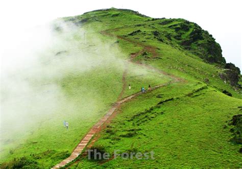 Places To Visit, Chikmagalur - Homestay Advisor - Homestay Advisor