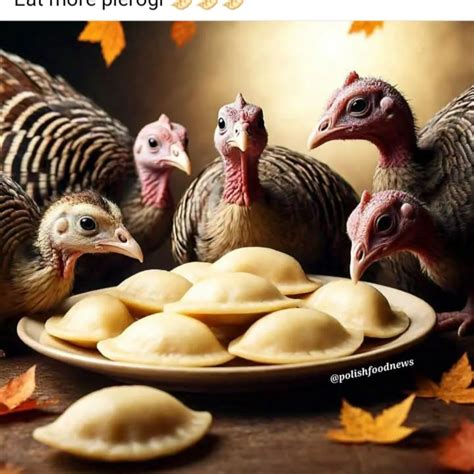 Pierogi Village (@pierogivillage) • Instagram photos and videos