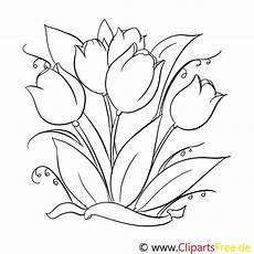 malvorlagen gratis blumen tulpen malvorlage gratis malvorlagen gratis blumen tulpen malvorlage gratis