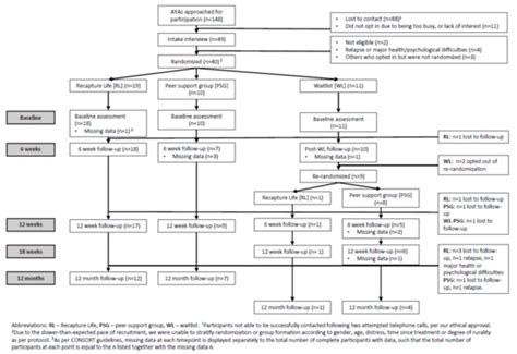 Online, Group-Based Psychological Support for Adolescent and Young ...