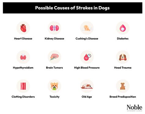 Strokes in Dogs: What Causes Them?