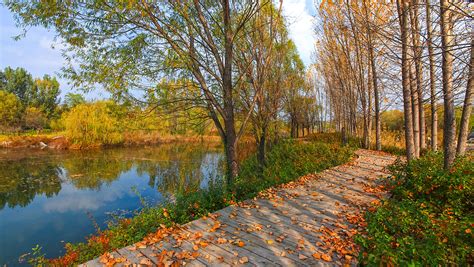 山东潍坊白浪河上游湿地景区设计 - 湿地与滨水景观 - 首家园林设计上市公司